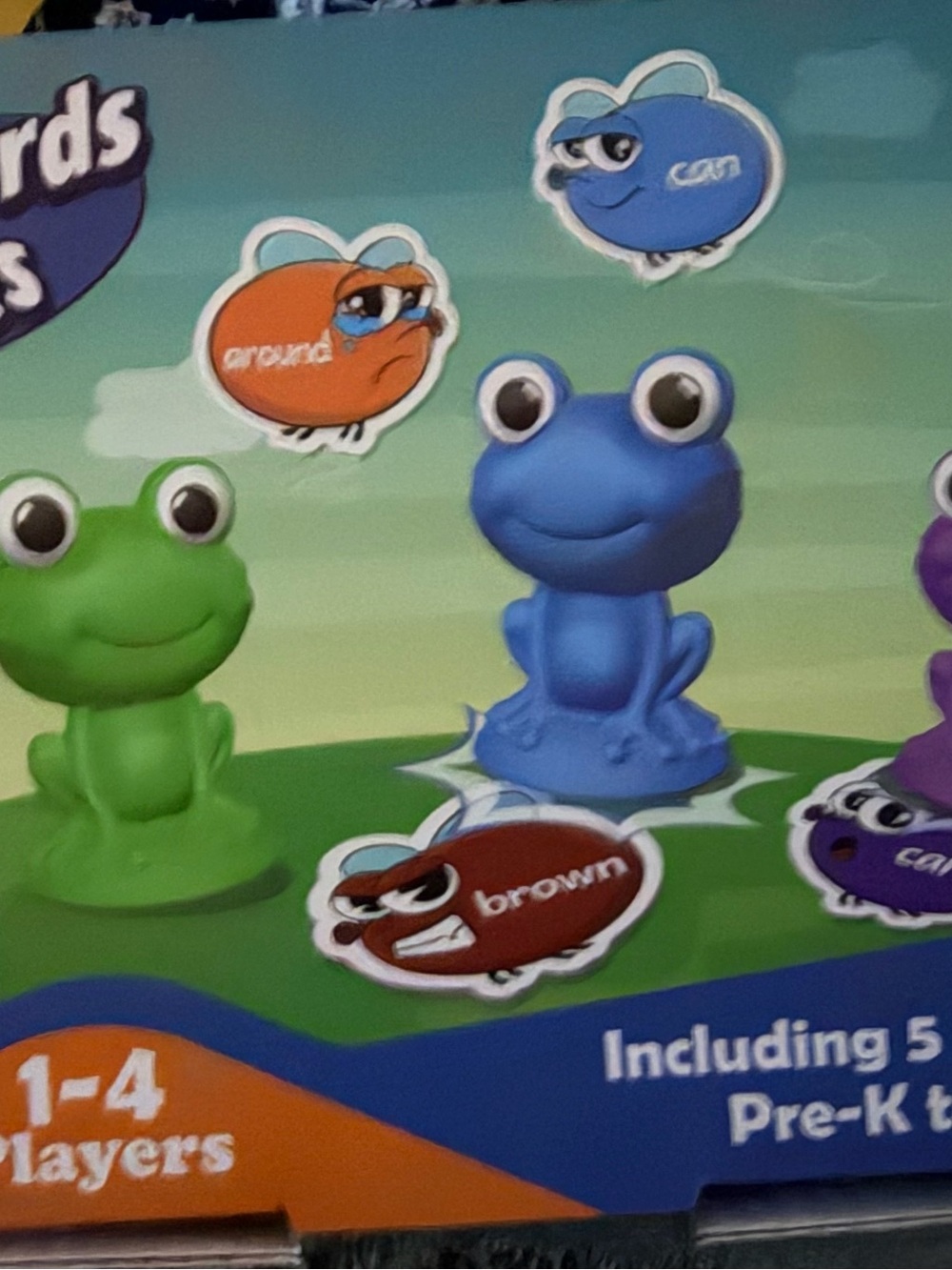 Torlam Sight Word Games Frog Site Words Flash Cards Phonics Learning.